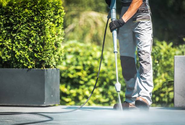 Best Soft Washing for Delicate Surfaces in Highland Lakes, AL